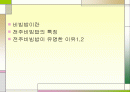 전주비빔밥에 대해 2페이지