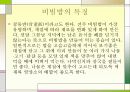 전주비빔밥에 대해 5페이지