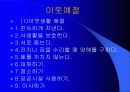 사회예절에 대하여 4페이지