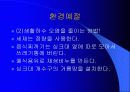 사회예절에 대하여 15페이지