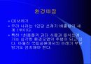 사회예절에 대하여 16페이지