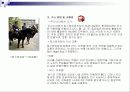 공간예술의 이해 5페이지
