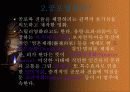 공포영화에 관한 모든 것 4페이지