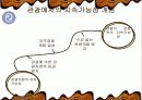 관광정보와 지속가능성 3페이지