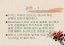 지속가능한 개발 sustainable development 26페이지