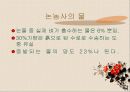 지속가능한 개발 sustainable development 41페이지