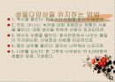 지속가능한 개발 sustainable development 79페이지