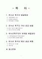 유소년 축구단 국내 공급 현황 및 문제점과 해결방안-스포츠마케팅(A+레포트)★★★★★ 2페이지