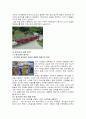 수원 삼성 블루윙즈-스포츠 마케팅 커뮤니케이션(swot분석)(A+레포트)★★★★★ 9페이지