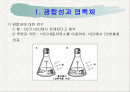 광합성의 과정 정리 2페이지
