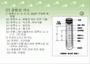 광합성의 과정 정리 5페이지