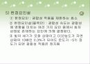 광합성의 과정 정리 12페이지