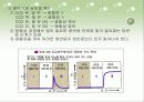 광합성의 과정 정리 14페이지