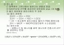 광합성의 과정 정리 15페이지
