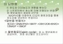 광합성의 과정 정리 21페이지