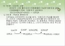 광합성의 과정 정리 23페이지