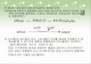 광합성의 과정 정리 24페이지