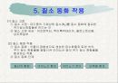 광합성의 과정 정리 27페이지