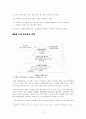 품질경영으로서의 ISO 시르즈의 도입 사례 및 문제점 그리고 발전방향에 대하여 12페이지