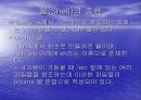 Unix 커널(Kernel),쉘(Shell),편집기(Editor) 9페이지