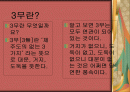 제주도의 문화 2페이지
