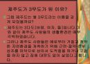 제주도의 문화 3페이지