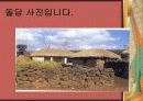 제주도의 문화 13페이지