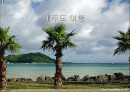제주도 여행 1페이지