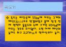 독도에 대해 3페이지