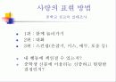 사랑과 성 10페이지
