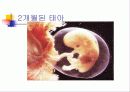 사랑과 성 13페이지