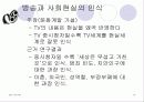 방송매체, 방송의 효과 13페이지