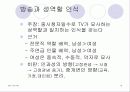 방송매체, 방송의 효과 16페이지