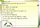 성서와 자연 11페이지