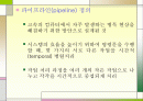 파 이 프 라 인 2페이지
