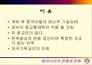 동아시아 종교 비교 21페이지
