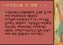 지구촌의 문제점과 대안 4페이지