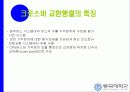 크로스바 교환행렬의 구조 5페이지