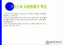 크로스바 교환행렬의 구조 6페이지
