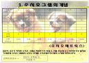 소시오그램을 통한 집단지도 5페이지