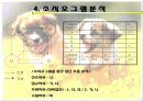소시오그램을 통한 집단지도 8페이지
