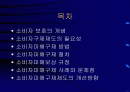 소비자구제제도의 문제점 2페이지