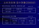 소비자구제제도의 문제점 4페이지