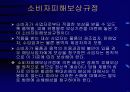 소비자구제제도의 문제점 13페이지