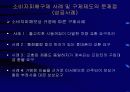 소비자구제제도의 문제점 17페이지