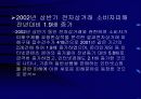 소비자구제제도의 문제점 20페이지