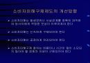 소비자구제제도의 문제점 21페이지