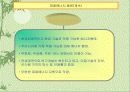 태양광발전 6페이지