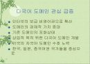 국제 다국어도메인 정책방향 3페이지