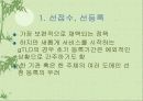 국제 다국어도메인 정책방향 8페이지